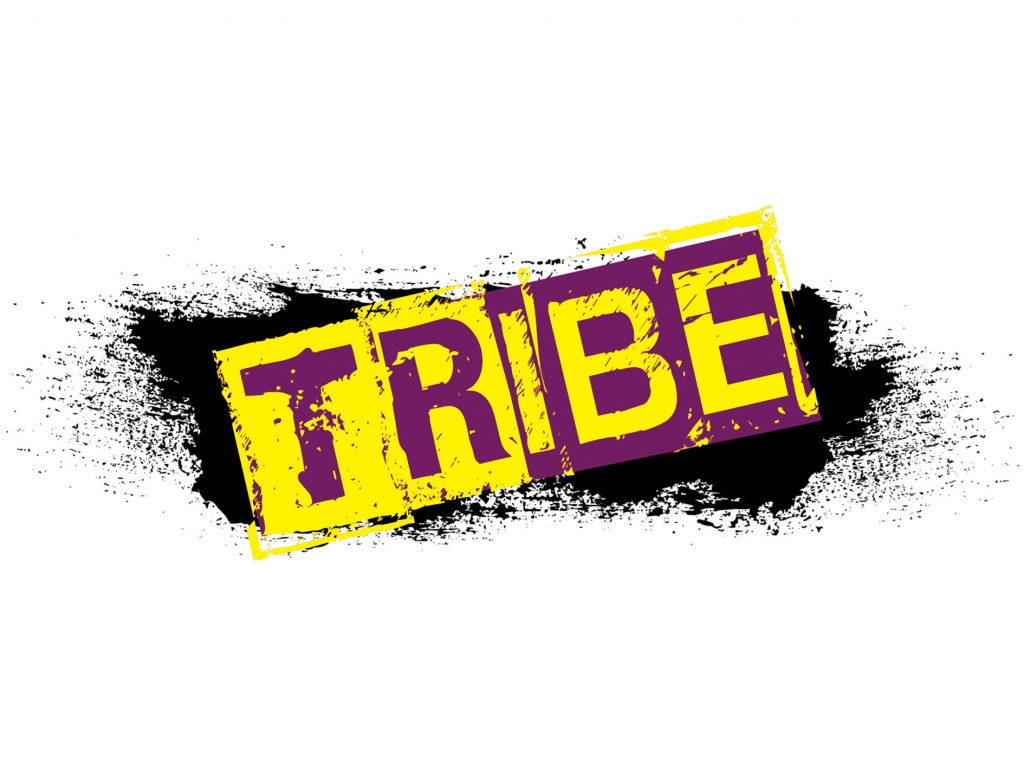 Tribe PT Trowbridge